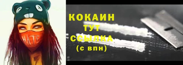 твердый Армянск