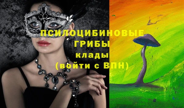 дживик Аркадак