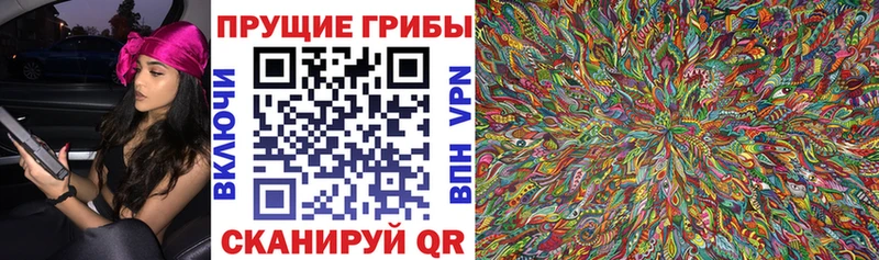 Псилоцибиновые грибы Cubensis  Белогорск 